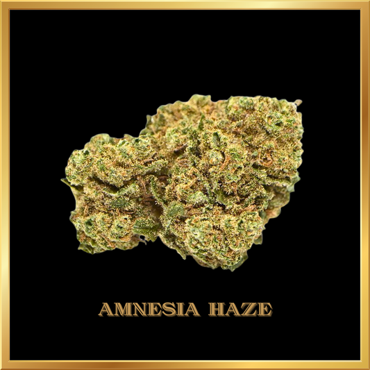 Flores CBD AMNESIA HAZE