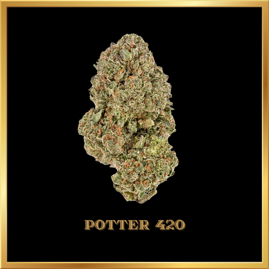 Flores CBD POTTER 420