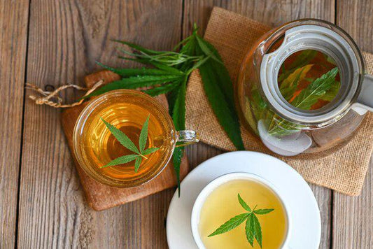 INFUSIÓN CAÑAMO RELAJANTE