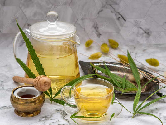 INFUSIÓN CAÑAMO ANTIOX